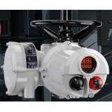 Rotork Electric Actuators